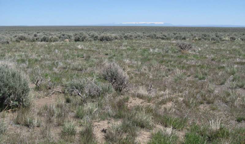 Fire is not all bad news in healthy sagebrush steppe ecosystems