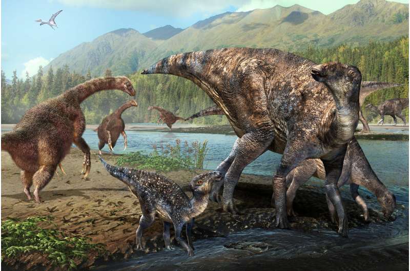 First North American co-occurrence of Hadrosaur and Therizinosaur tracks found in Alaska
