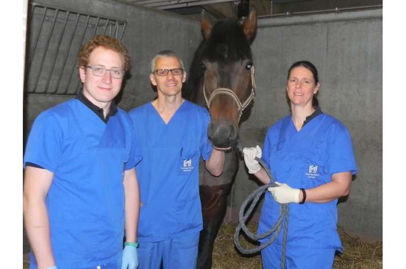 First successful ablation of a cardiac arrhythmia in a horse at Ghent University