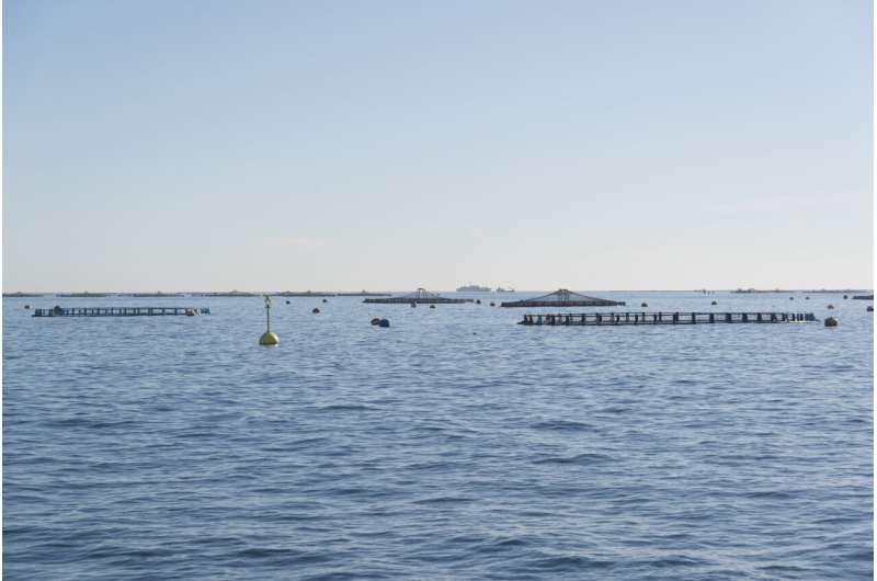 Fishing for new ways to expand the EU’s aquaculture industry