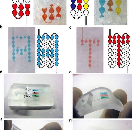 Flexible color displays with microfluidics