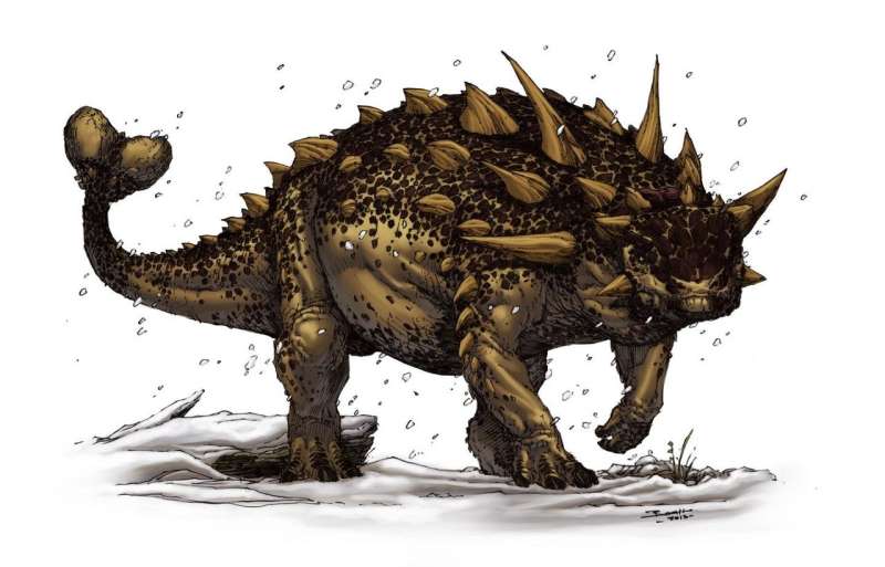 Flipside of a dinosaur mystery: 'Bloat-and-float' explains belly-up ankylosaur fossils