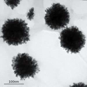 Flower-shaped gold nanocrystals as photothermal agents against tumor cells
