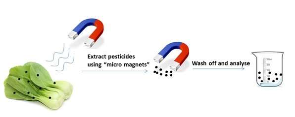 Food scientists create novel magnetic nanoparticles for rapid screening of pesticide residue in vegetables