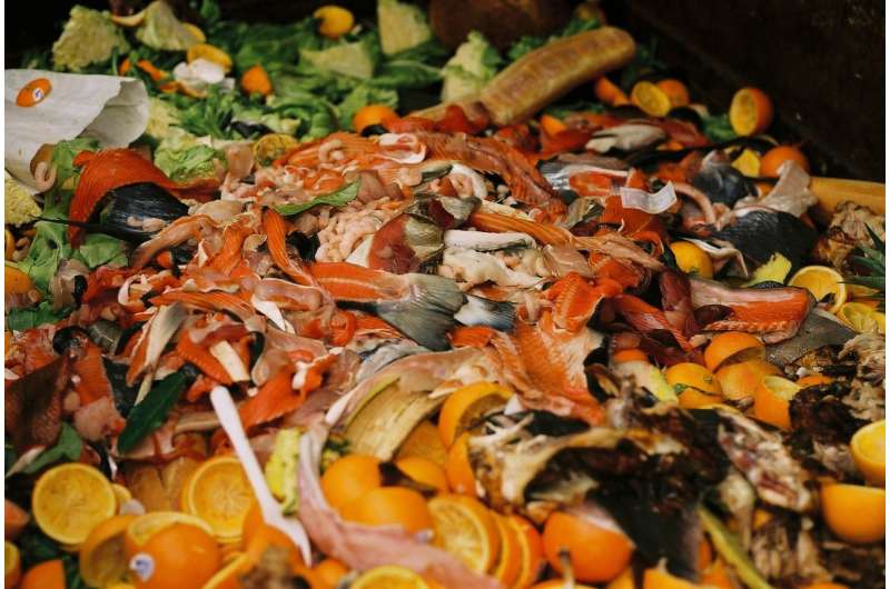 Food scraps to become dairy and meat substitutes