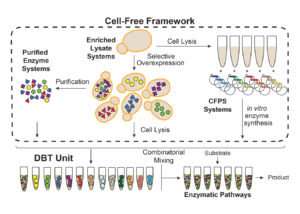 Freedom and flexibility: Thinking outside the cell for functional genomics