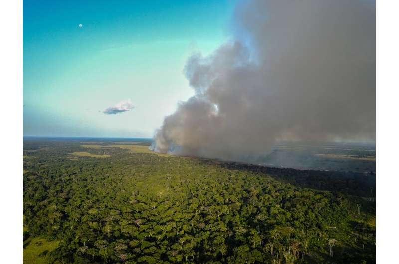 FSU researchers: Savanna fires pump Central African forests full of nitrogen