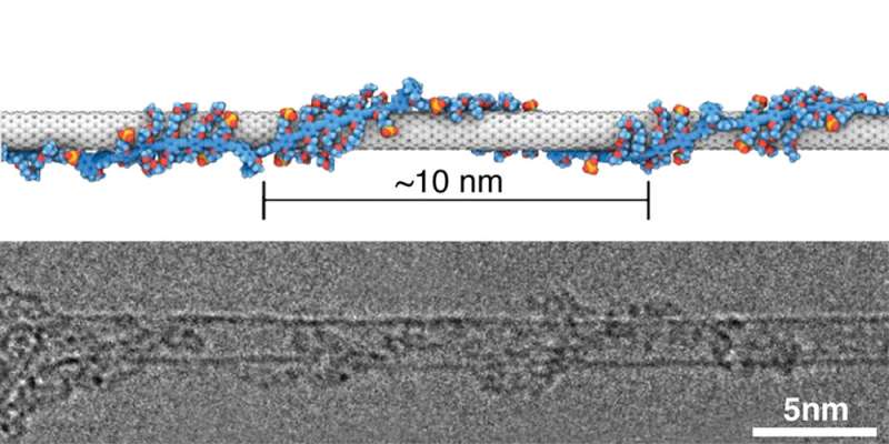 charge of carbon nanotubes