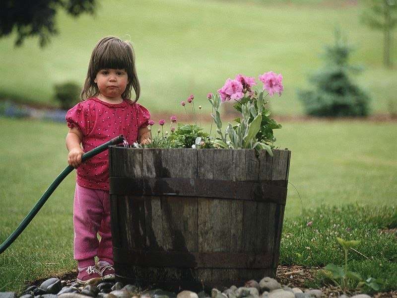 Gardening isn't just for adults