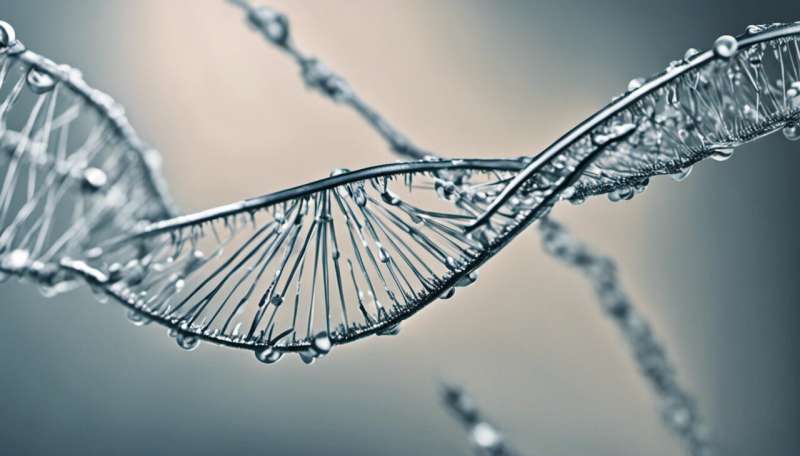Gene drives accelerate evolution – but we need brakes