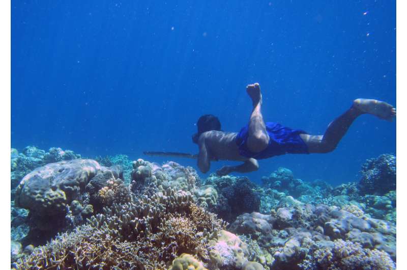 Genetic adaptations to diving discovered in humans for the first time