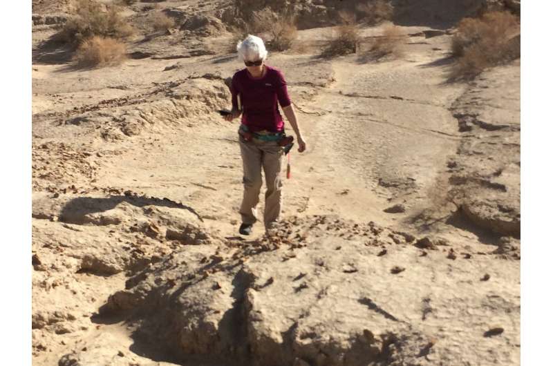 Geologists detail likely site of San Andreas Fault's next major quake