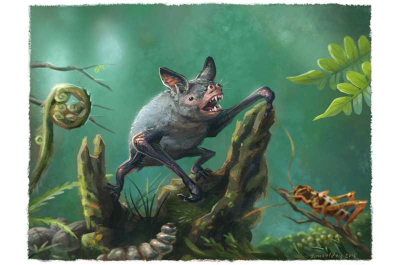 Giant extinct burrowing bat discovered in New Zealand