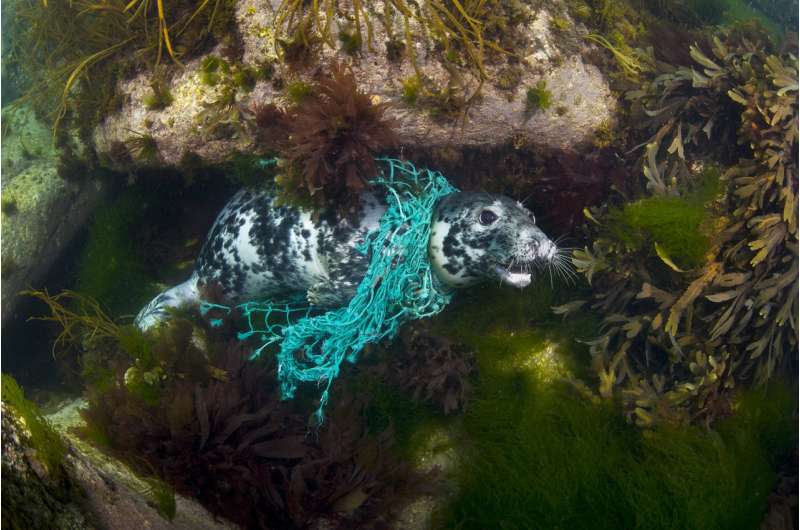 Global effort could cut ocean plastics by 77% by 2025