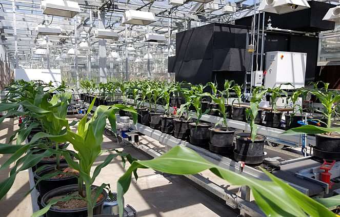 Greenhouse 'conveyer belt' could advance food production, address looming global food crisis