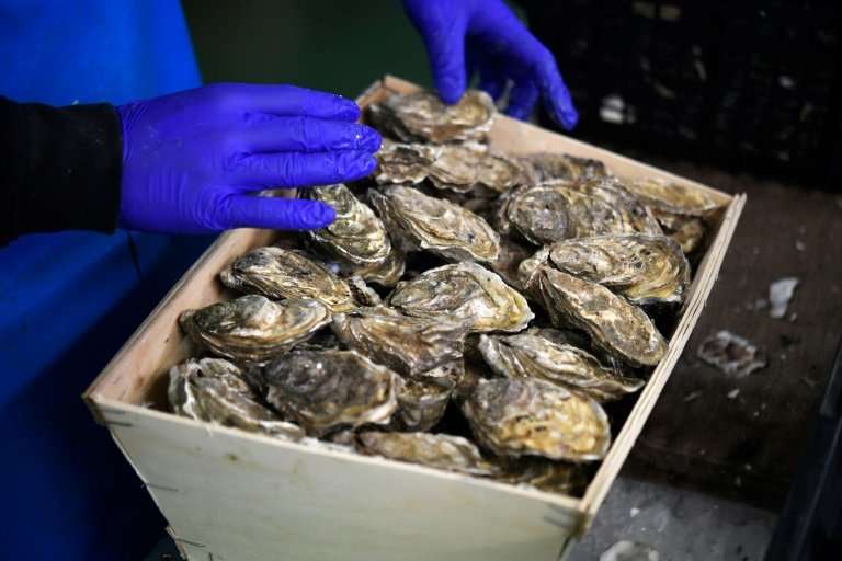 Gulping down oysters has long been a favourite New Year's Eve ritual for the French