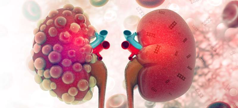 Healing kidneys with nanotechnology