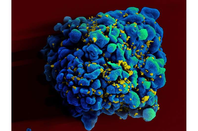 Healthy competition intensifies 30-year quest for HIV vaccine