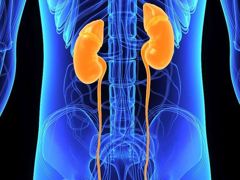 'Heat zapping' kidney tumors may help some patients avoid surgery
