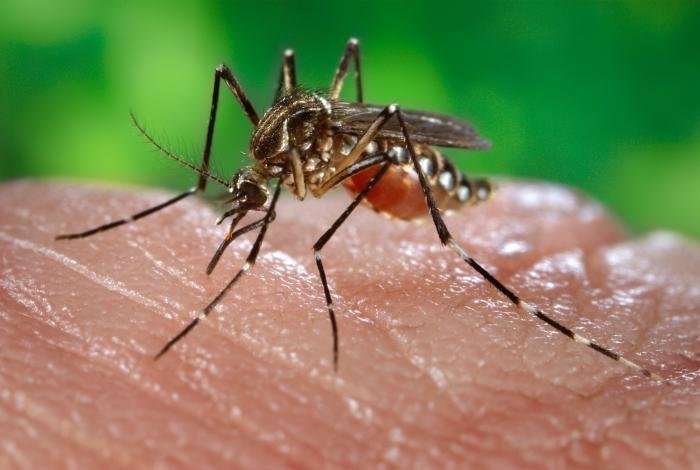 Help NASA track and predict mosquito-borne disease outbreaks