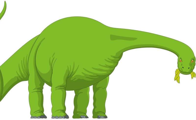 herbivore dinosaur