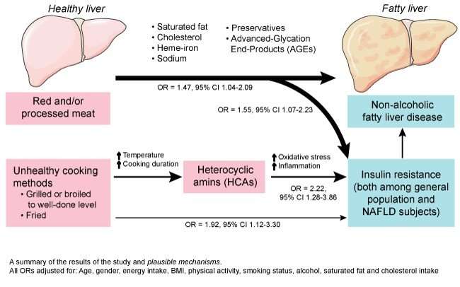 High consumption of red and processed meat linked to non-alcoholic fatty liver disease and insulin resistance