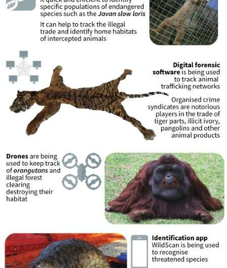 High-tech conservation in Indonesia