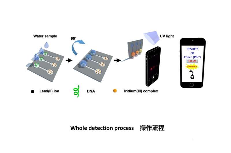HKBU's device for quick and accurate detection of lead
