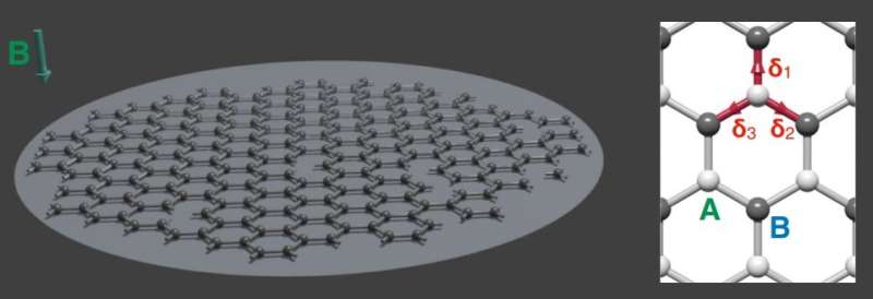 Holographic image of a black hole proposed in a graphene flake