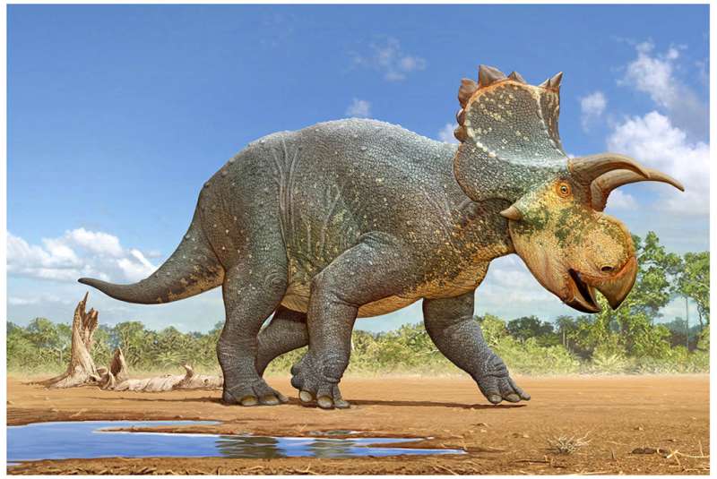 Horned dinosaur Crittendenceratops discovered in arizona