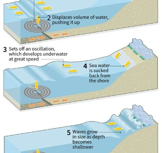 How an earthquake-generated tsunami occurs