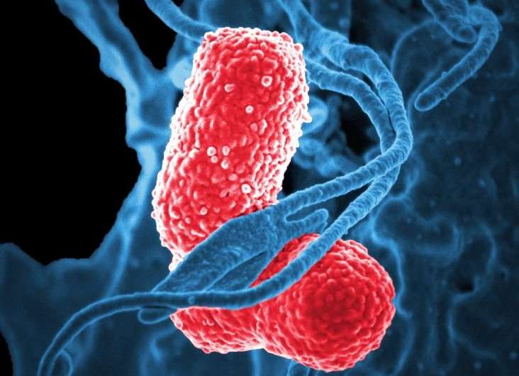 How competition and cooperation between bacteria shape antibiotic resistance