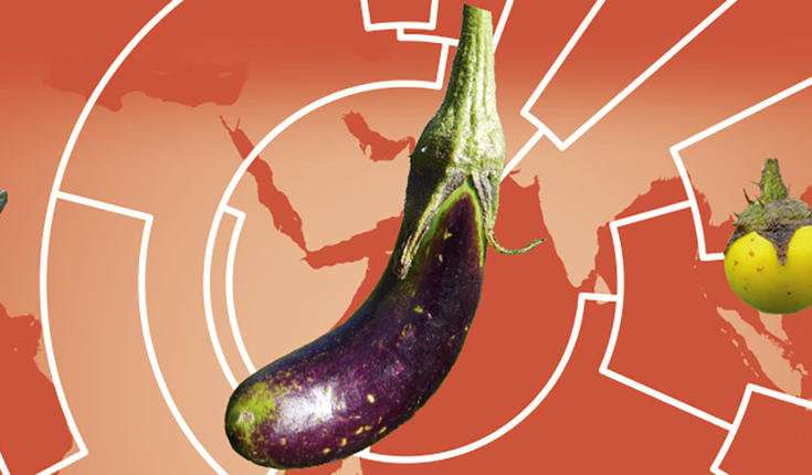 How Eggplants became Asian – genomes and elephants tell the story