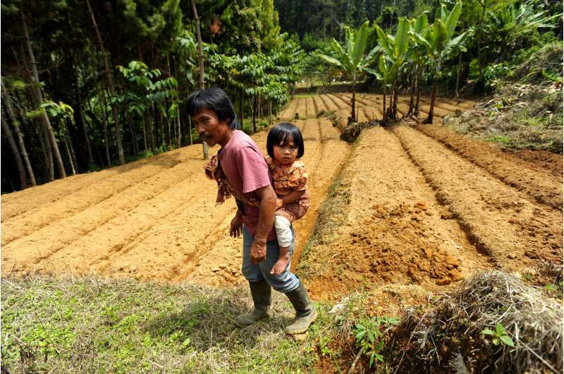 How forests improve kids' diets