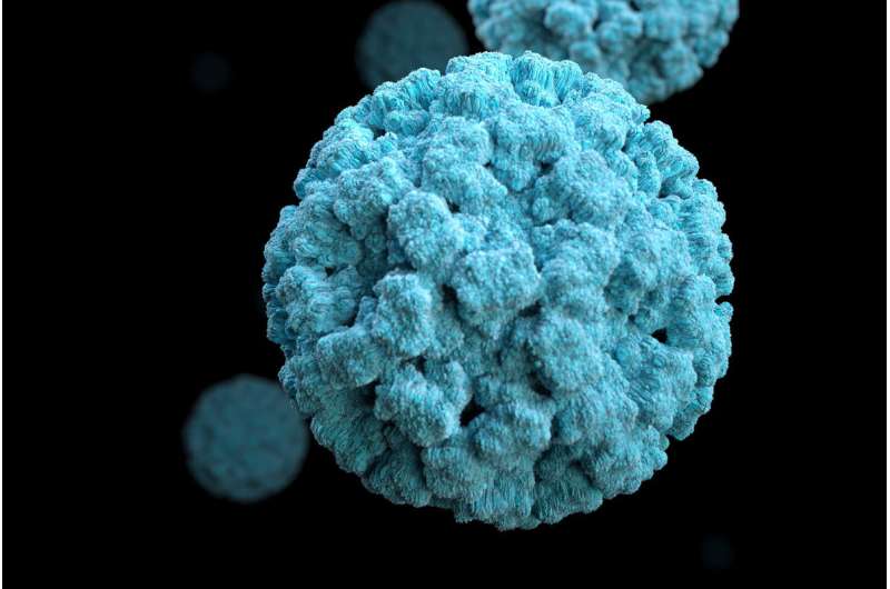 How highly contagious norovirus infection gets its start