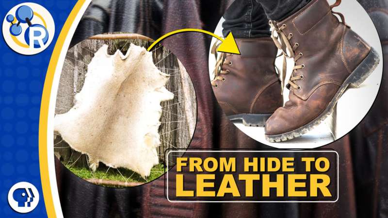 How is leather made? (video)