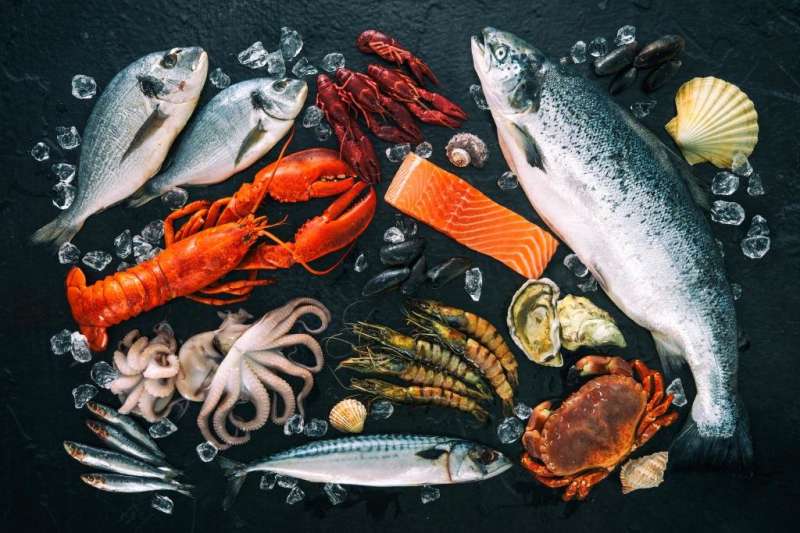 How much fish do we consume? First global seafood consumption footprint published