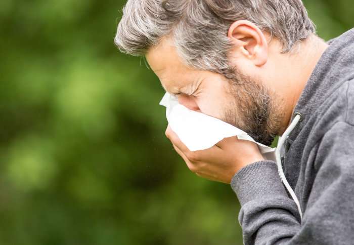 How protein fragments could help to tackle the cause of hay fever