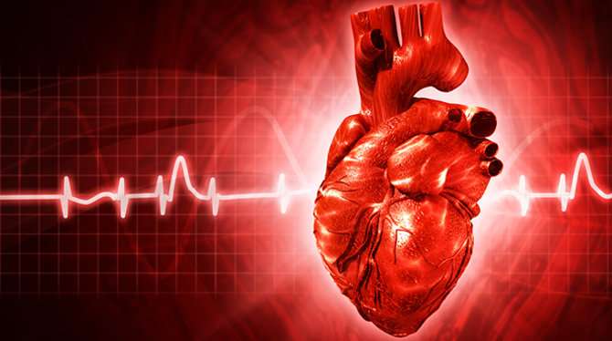 How quickly electrical currents move through the legs may help predict heart failure