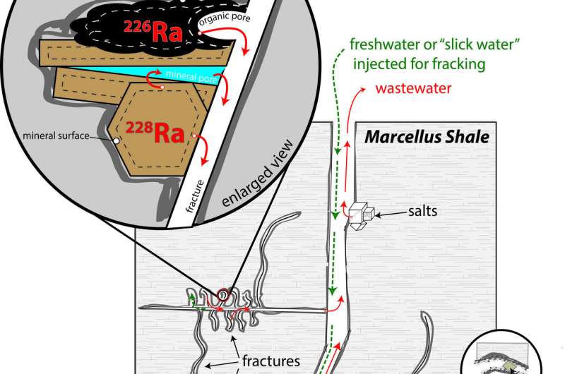 How slick water and black shale in fracking combine to produce radioactive waste