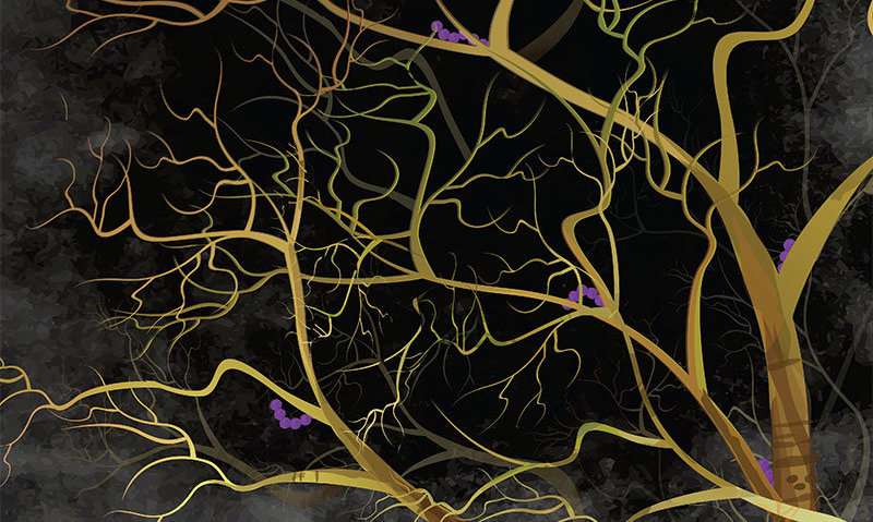 How the germ behind flesh-eating disease hijacks neurons to avoid immune destruction
