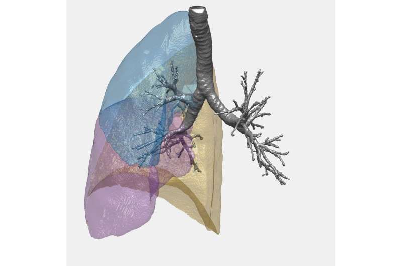 How the power of mathematics can help assess lung function