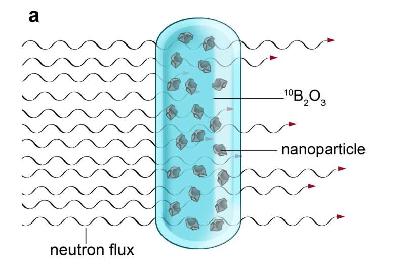 How to produce fluorescent nanoparticles for medical applications in a nuclear reactor