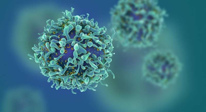 How viruses disarm the immune system
