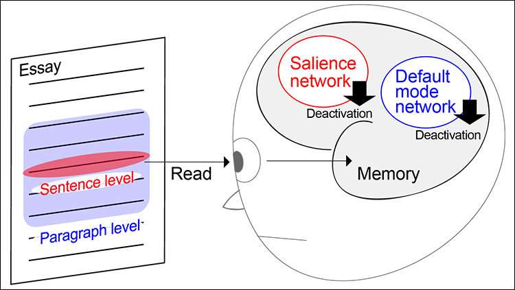 How we remember what we read