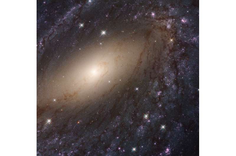 Hubble shows the local Universe in ultraviolet