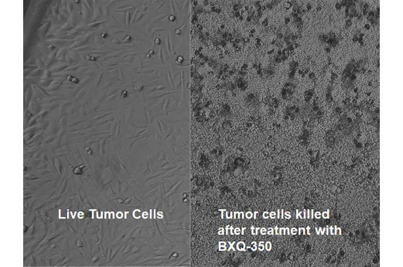 Human nanomedicine drug showing promise in solid cancers