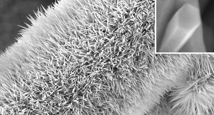 Hybrid nanomaterials bristle with potential