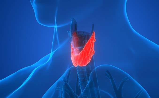 Hyperthyroidism vs. hypothyroidism—what's the difference?