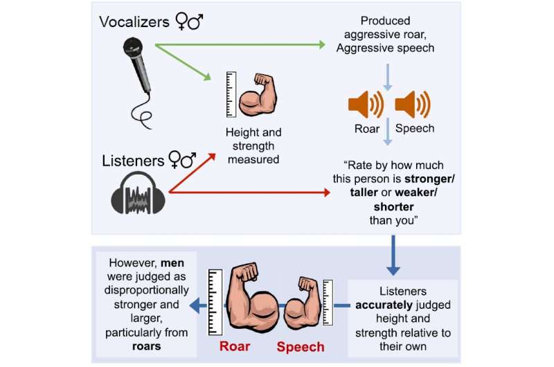 I am human, hear me roar: Judging formidability from human vocalizations